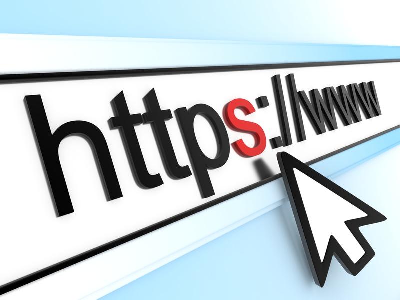 Internet address showing secure website and domain name